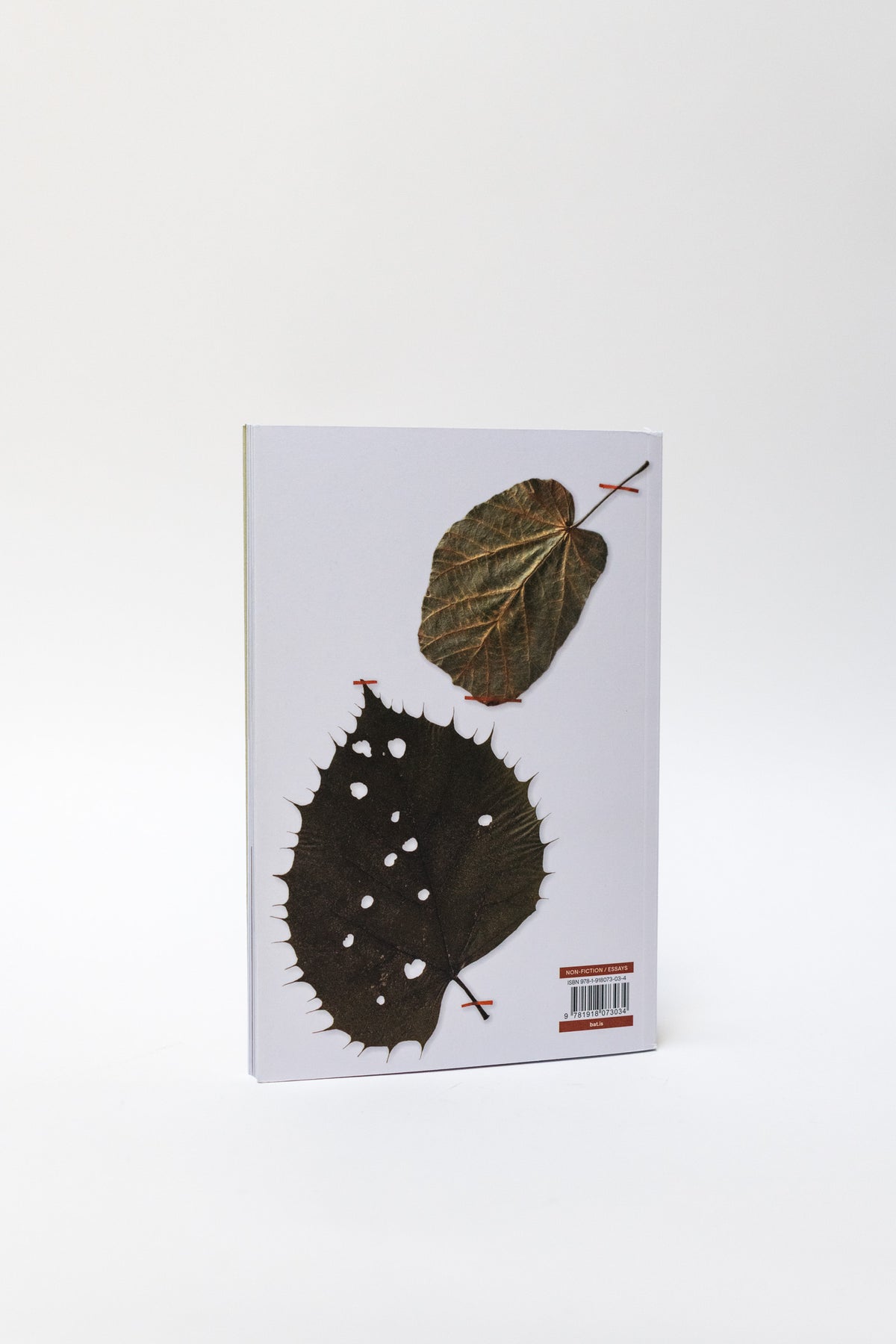 Cynthia Fan –  Among Willows: Essays On Plant Form and Family