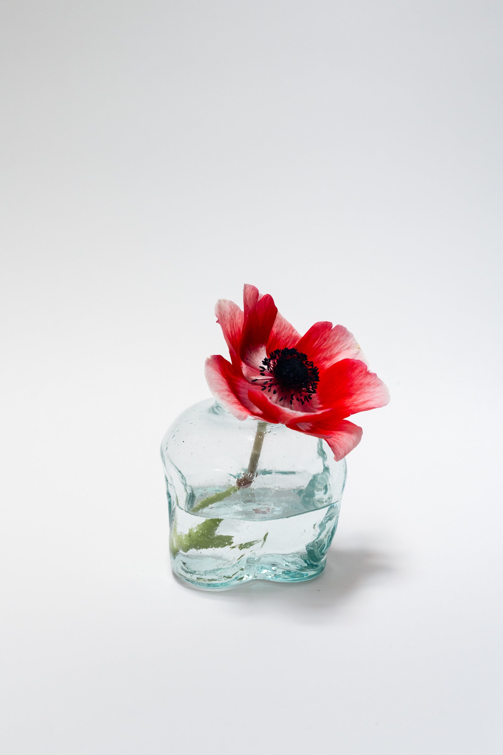 Rock Vase, Transparent