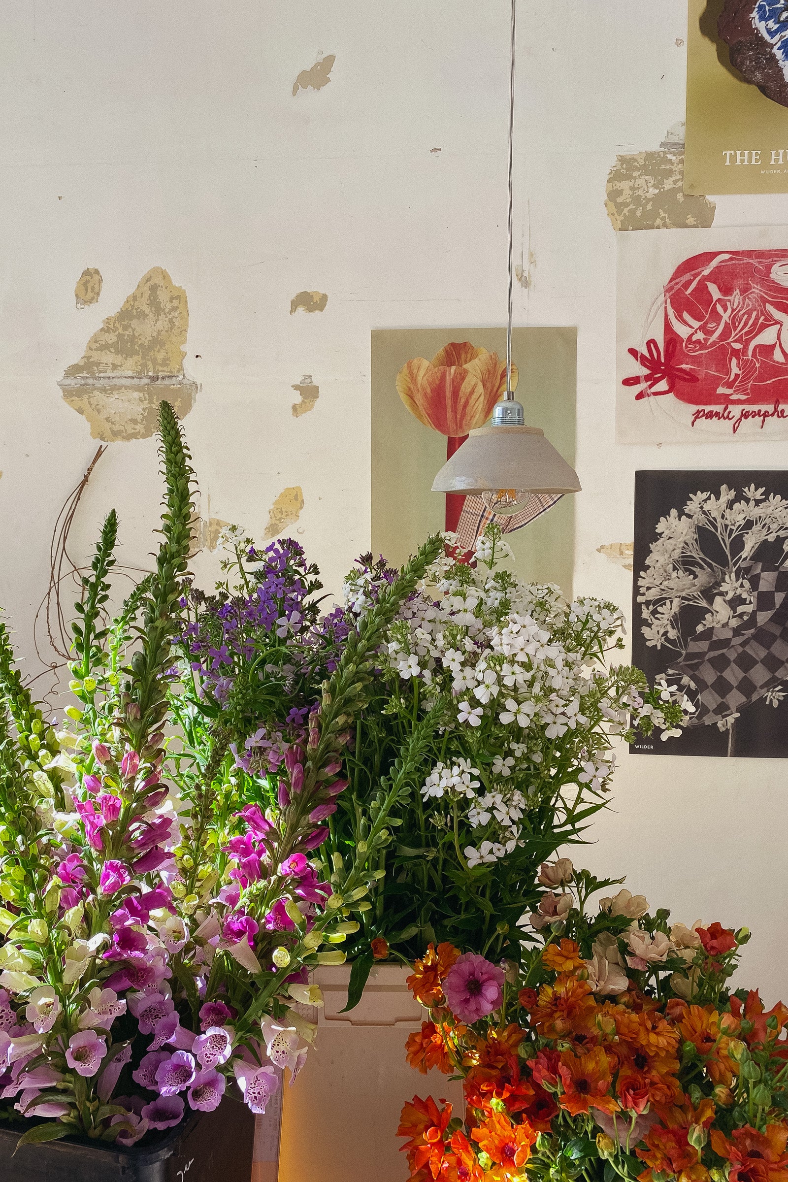A selection of Spring flowers displayed in the former Wilder store location