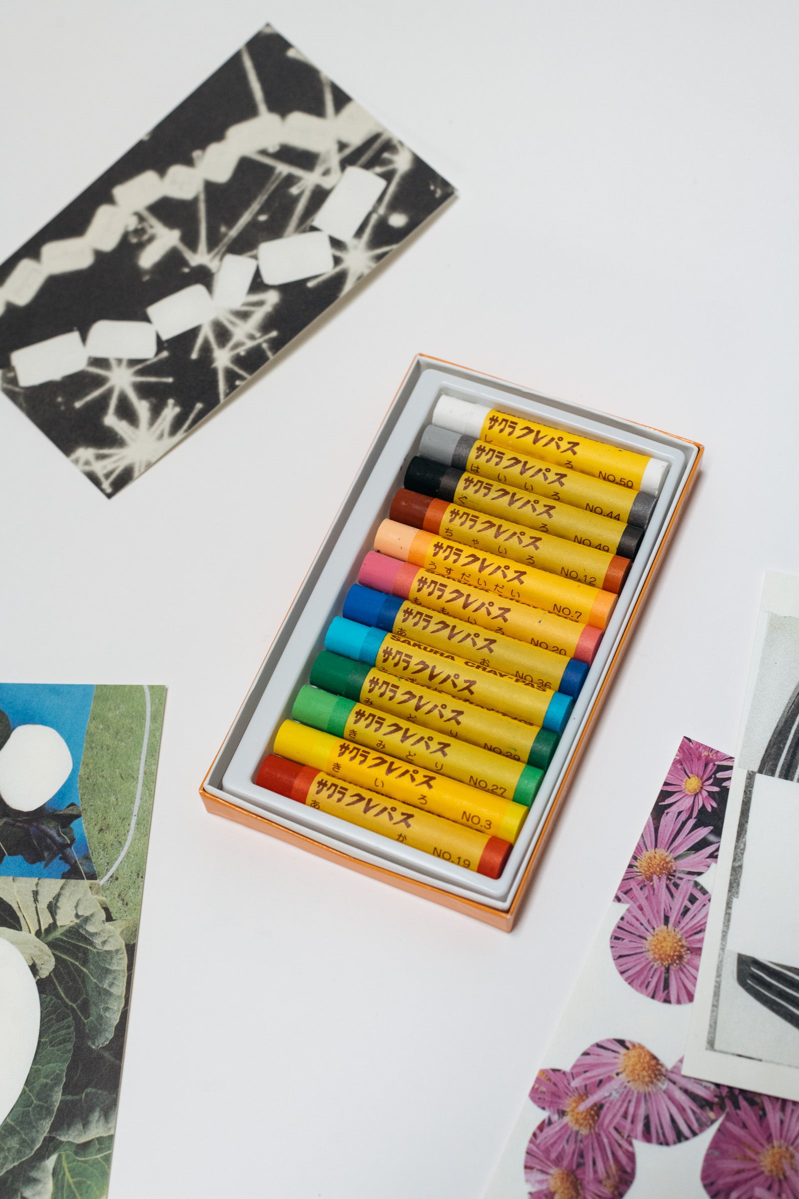 Oil Pastels + Colouring Cards Set