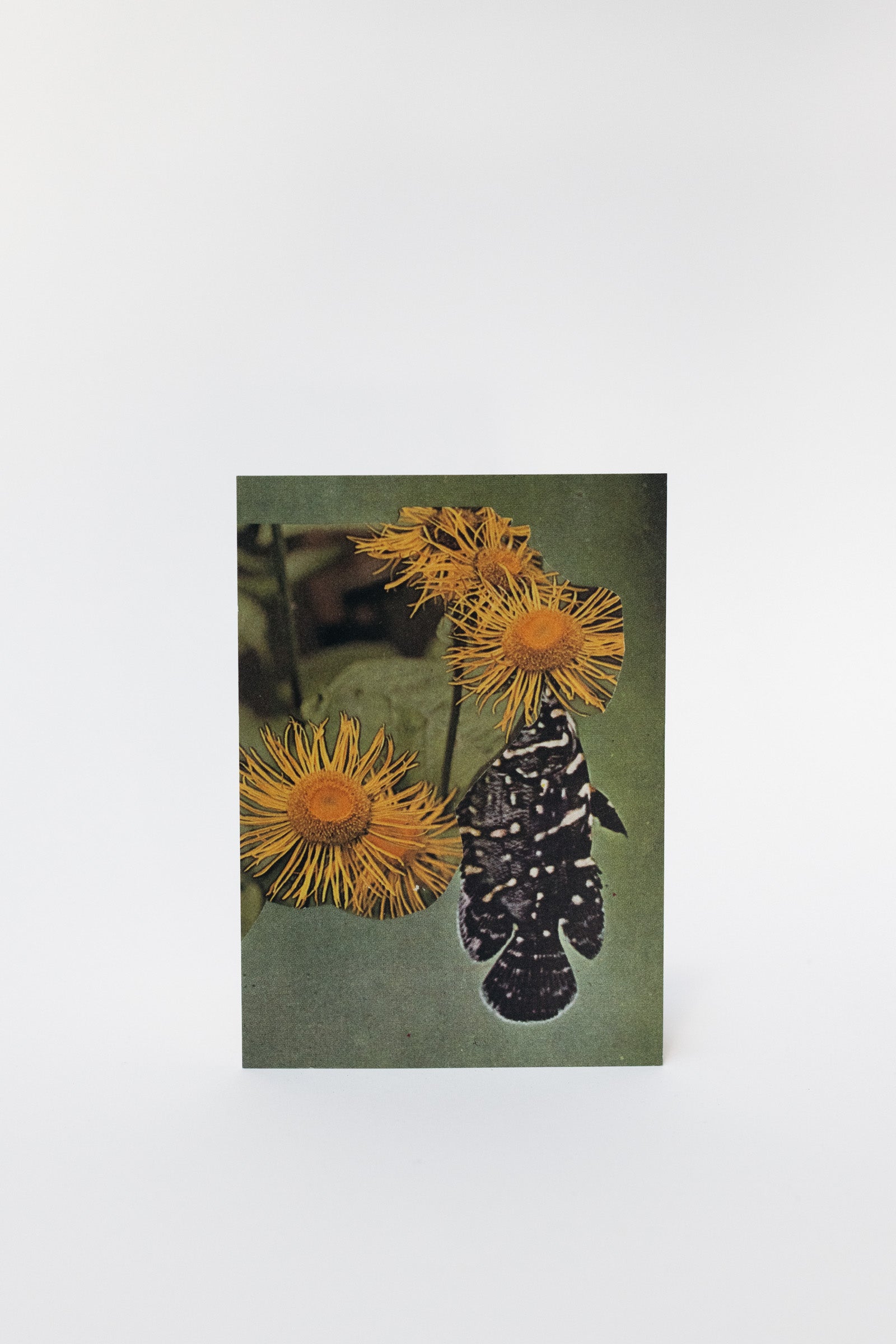 Wilder Postcard A6, 2026–08