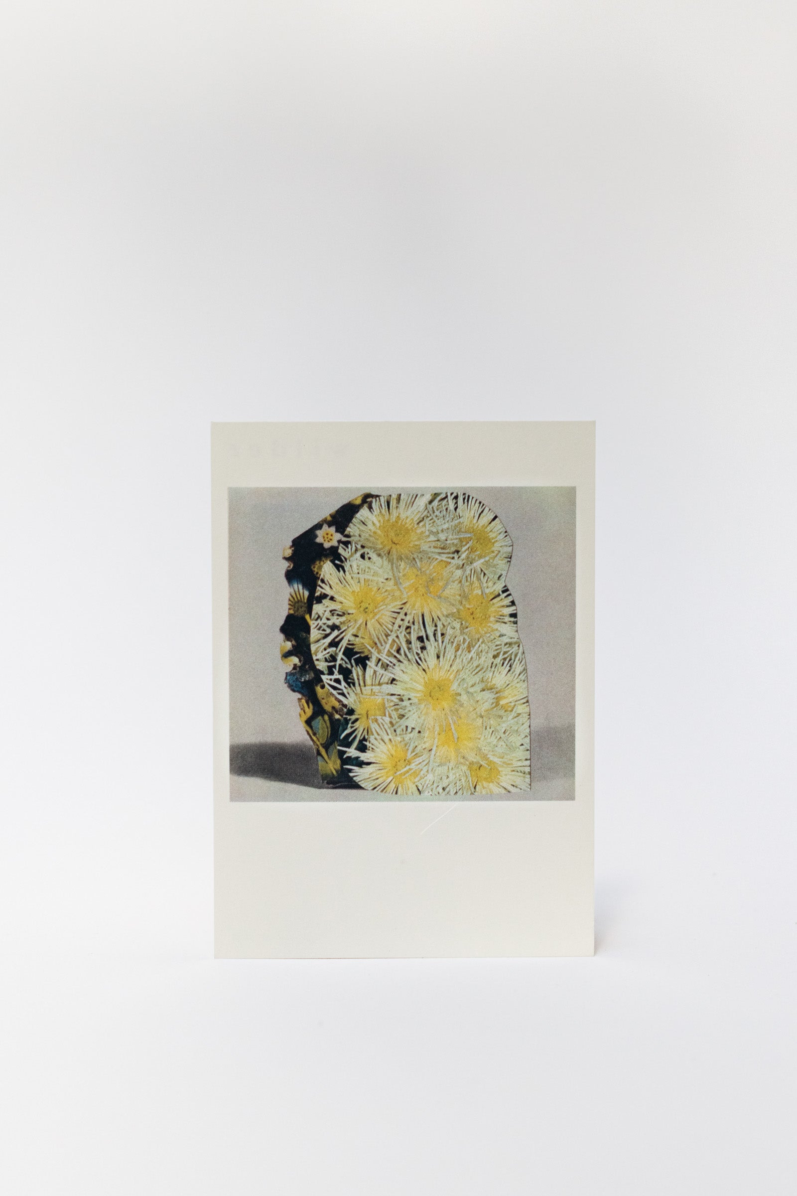 Wilder Postcard A6, 2026–05