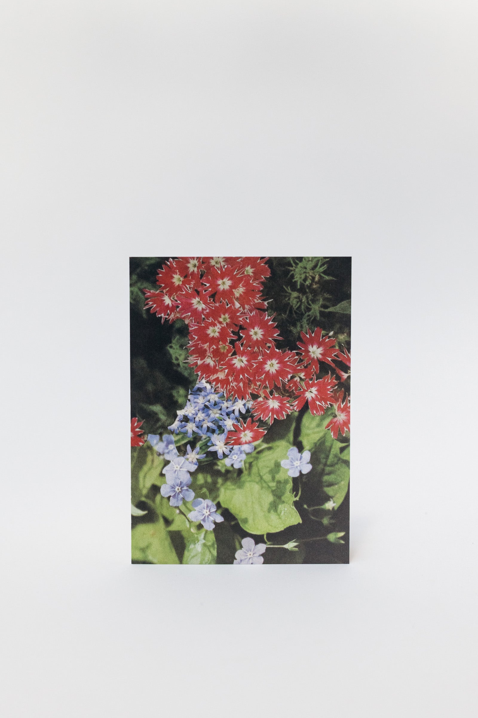 Wilder Postcard A6, 2026–07