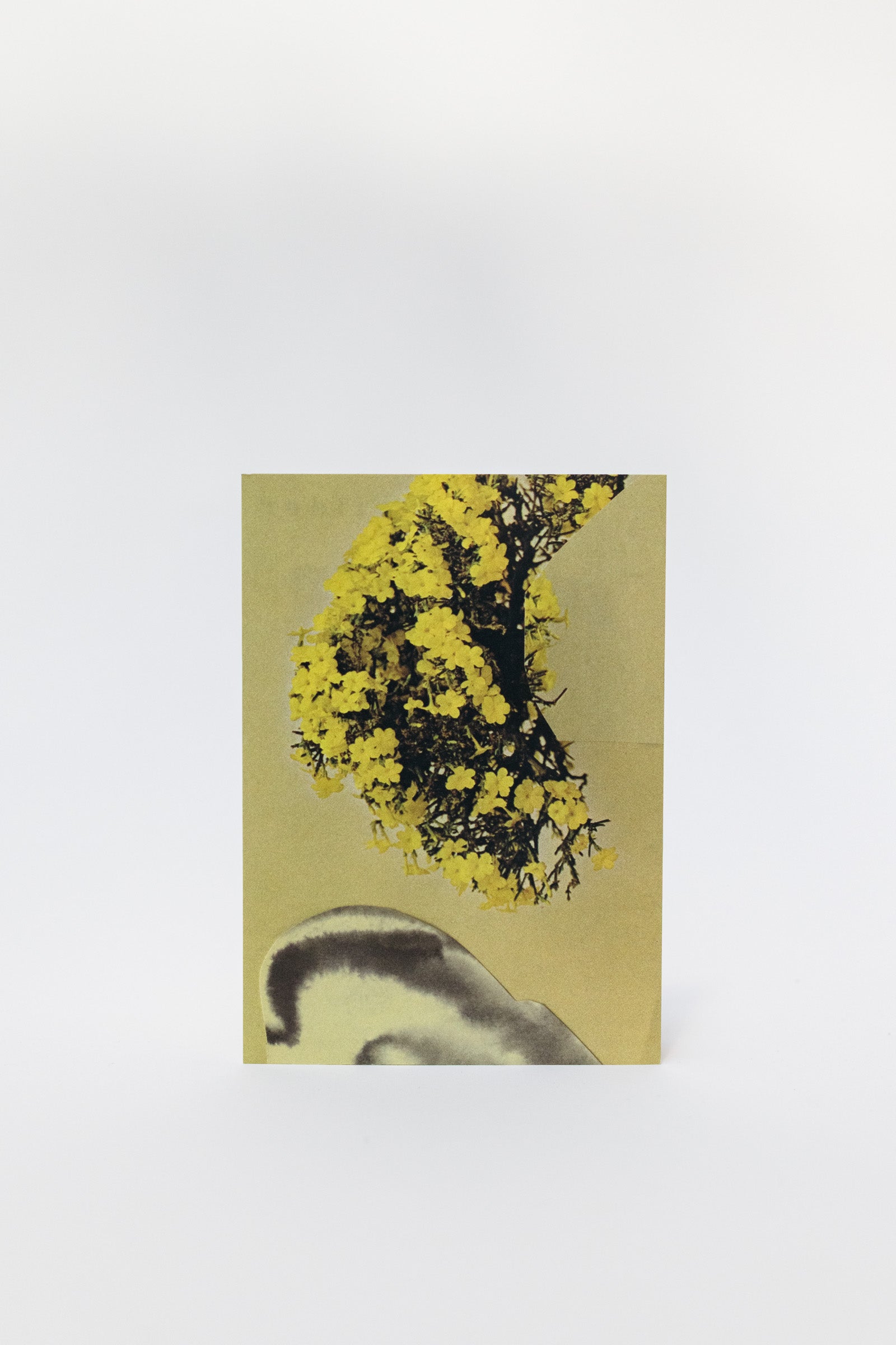 Wilder Postcard A6, 2026–01