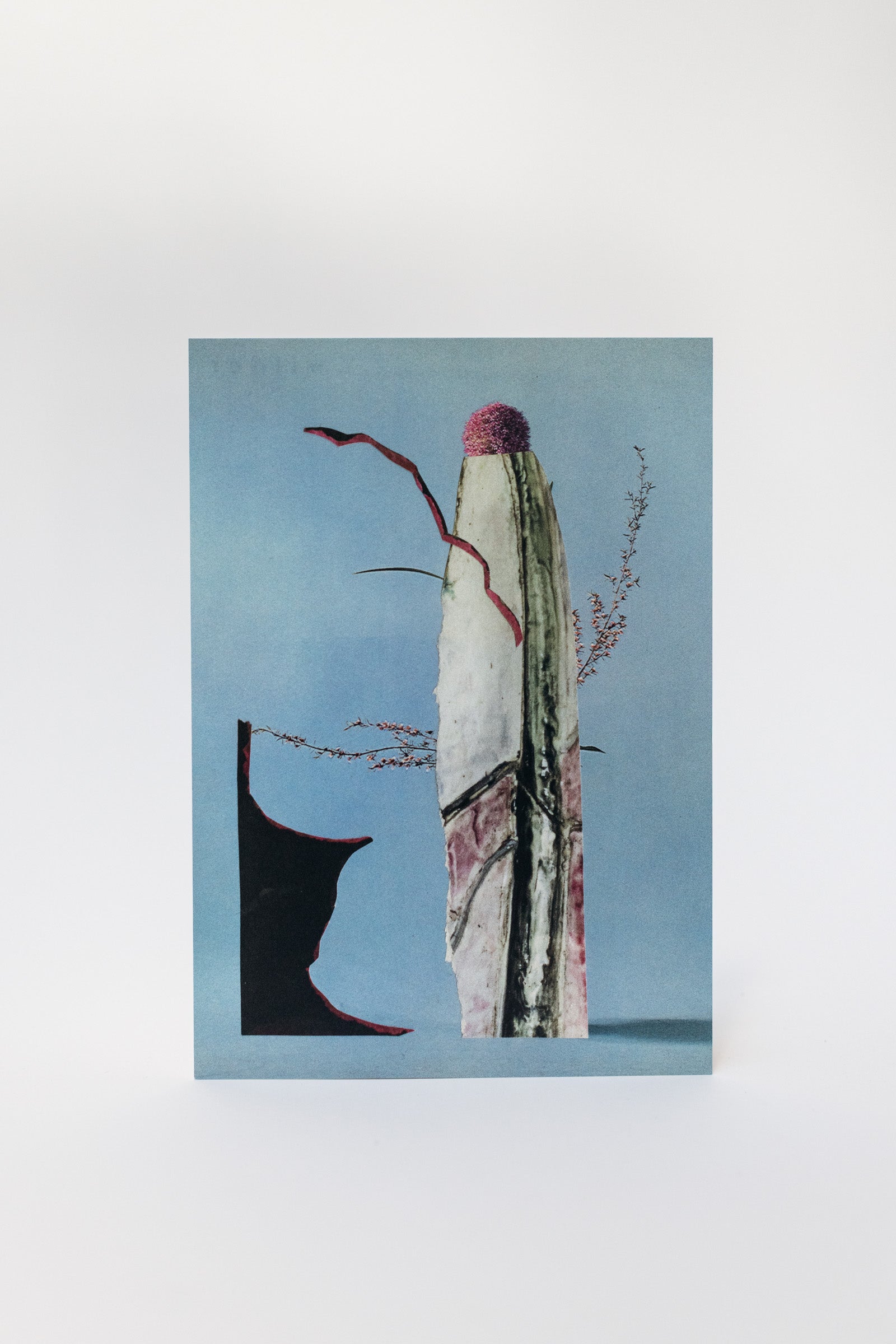 Wilder Postcard A5, 2026–12