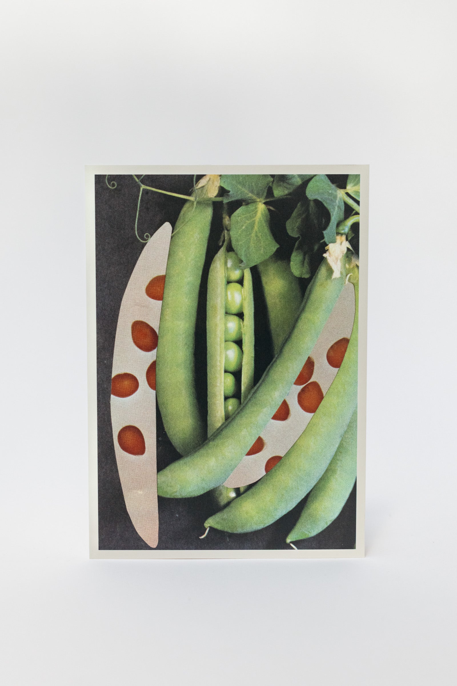Wilder Postcard A5, 2026–13