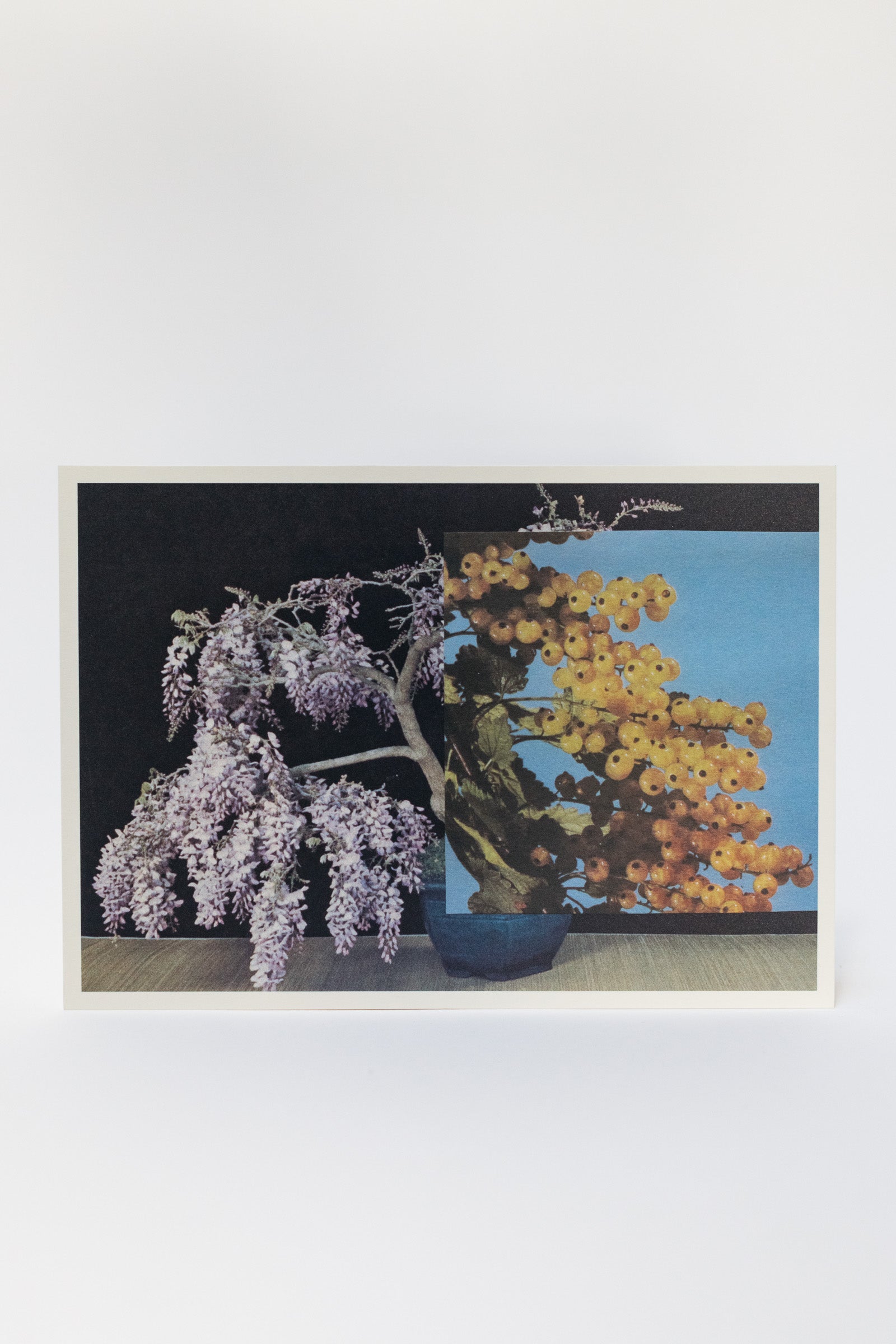 Wilder Postcard A5, 2026–11