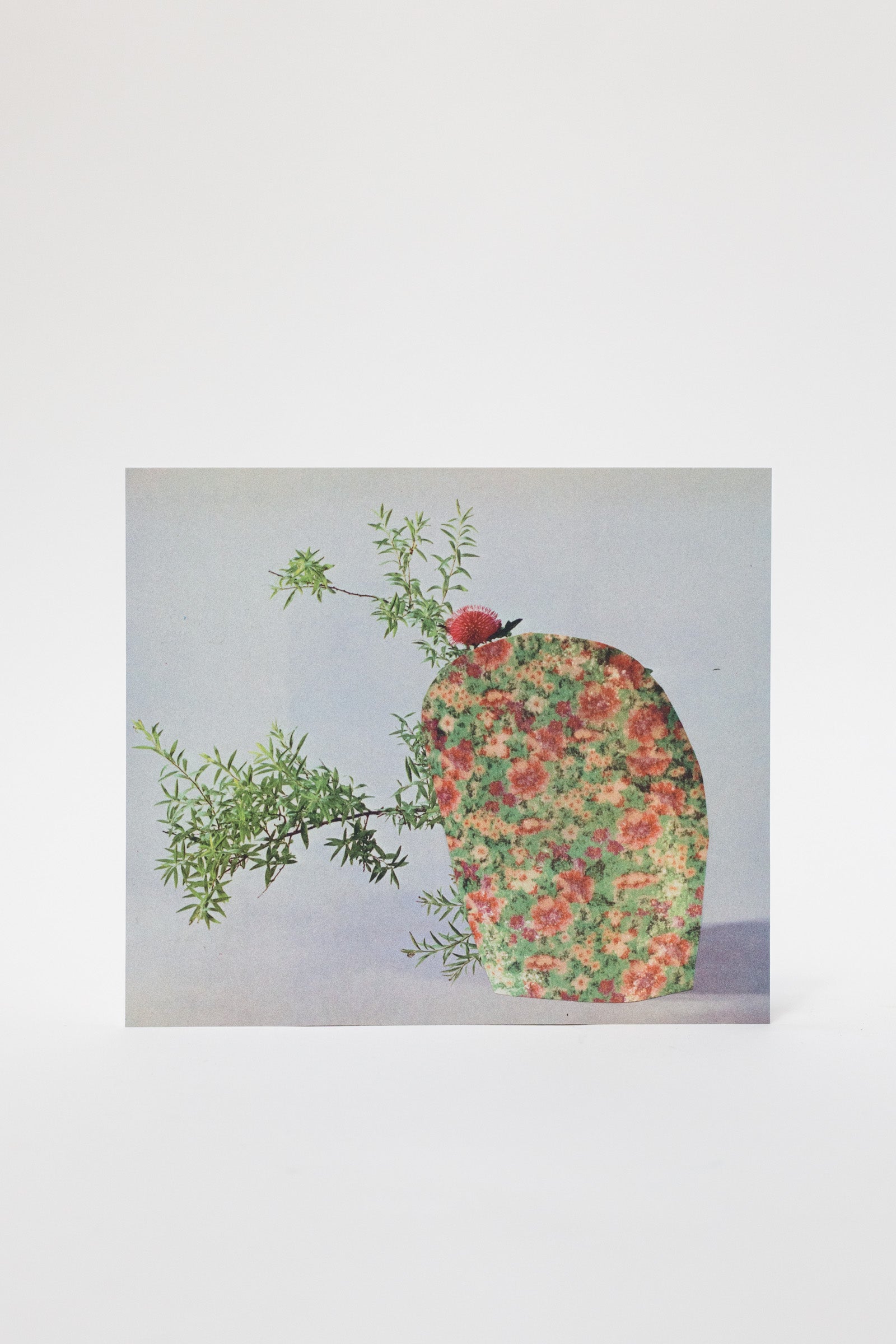 Wilder Postcard 148 x 170, 2026–14