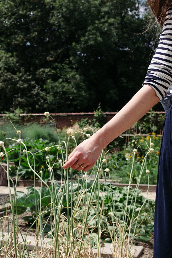 'Pluk je tuin' reportage voor Libelle NEST door Wilder - gemeenschapstuin in Braine-l'Alleud