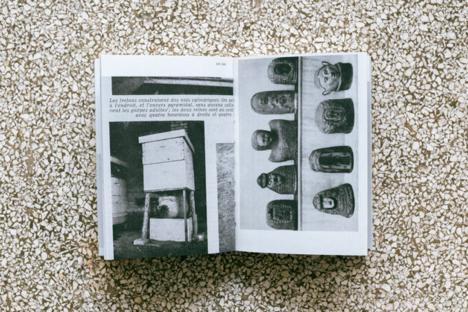 'Hives. A History of the Beehive', a book about beekeeping at Wilder Antwerp