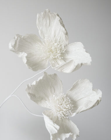 Witte papieren bloemen, handgemaakt uit Italiaans crêpepapier bij Wilder Antwerpen