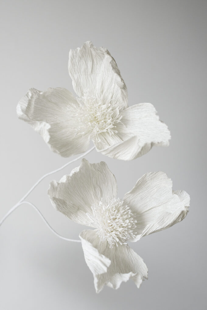 White paper flowers, handmade using Italian crepe paper at Wilder Antwerp