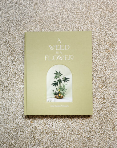 A Weed Is A Flower, een fotoboek dat de esthetische kwaliteit van de cannabisplant eert in bloemstukken en stillevens, bij bloemenwinkel Wilder in Antwerpen