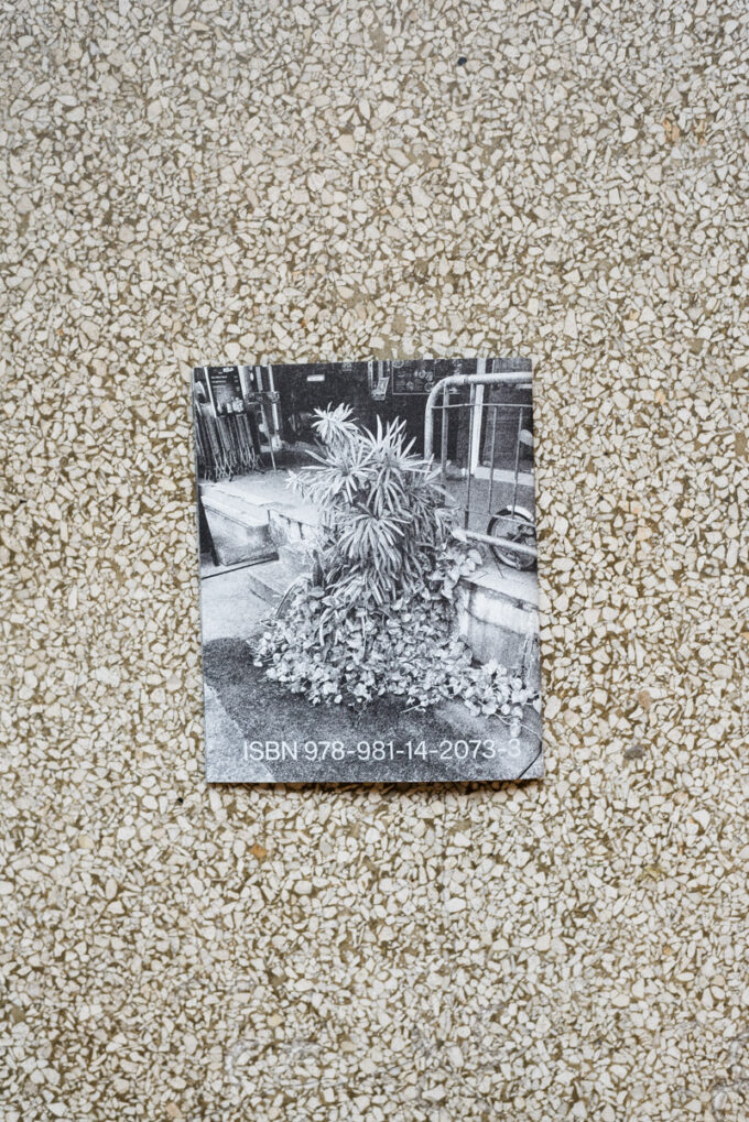 'Forming Cityscapes #8: Plants' riso fotografie zine door Gideon-Jamie uitgegeven bij Temporary Press, te koop bij Wilder Antwerpen