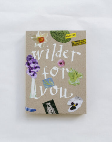 Gift box with stickers by Wilder Antwerp