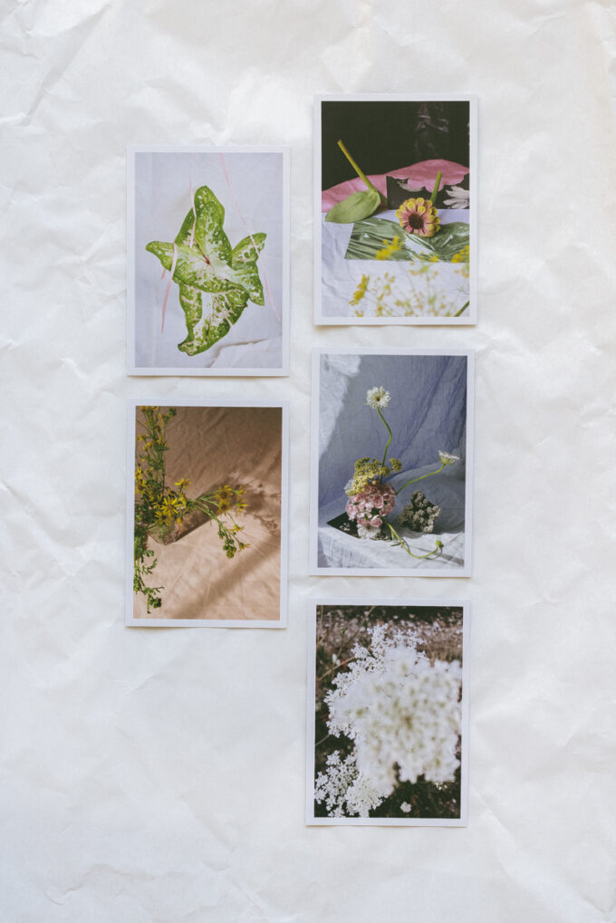 Set of five cards, 'Snapshots' - Stationery at Wilder Antwerp