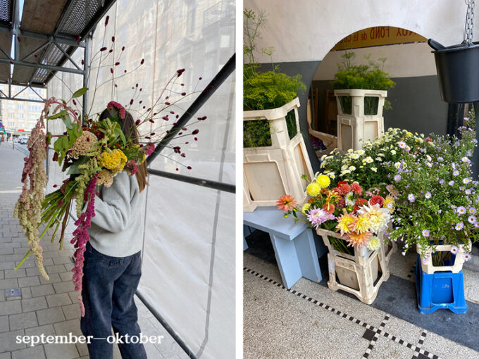 Duurzame bloemleveringen aan huis in Antwerpen - Voorbeelden van lokale seizoensbloemen september - oktober