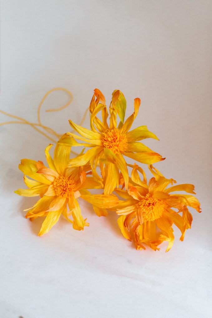 Orange paper flowers handmade by Wilder Antwerp