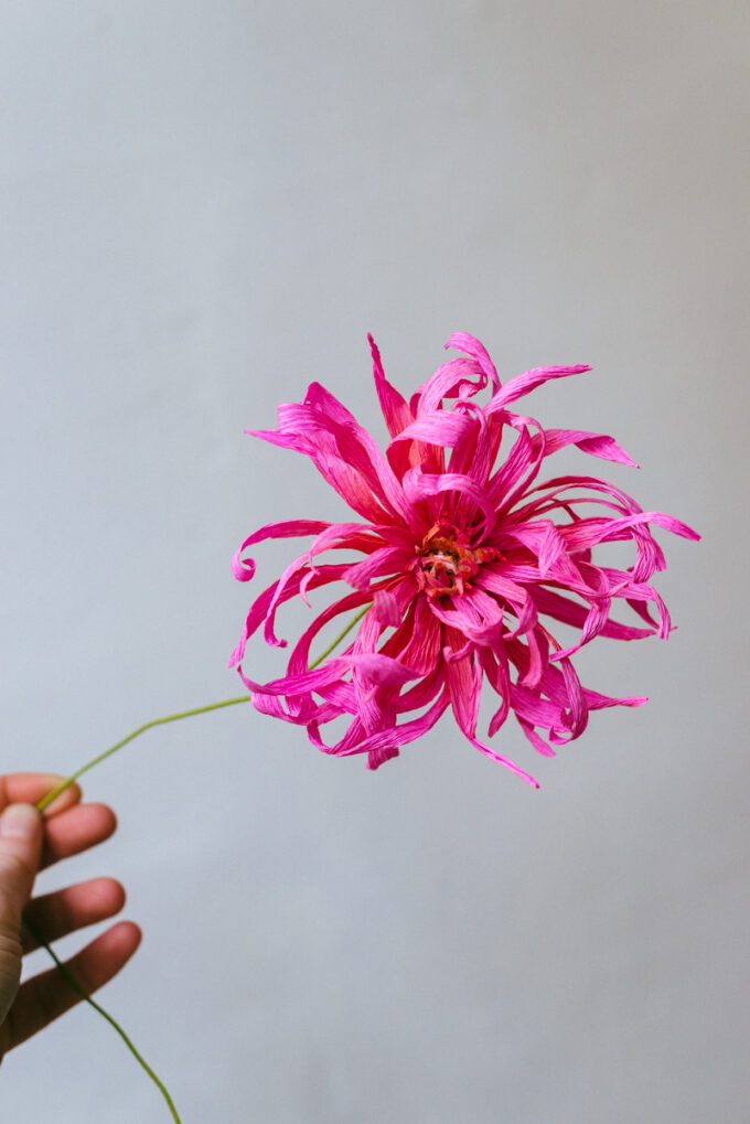 Pink paper flowers handmade by Wilder Antwerp