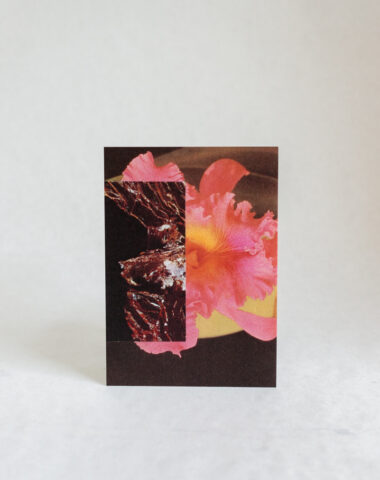 Wilder postcard with pink and brown floral collage