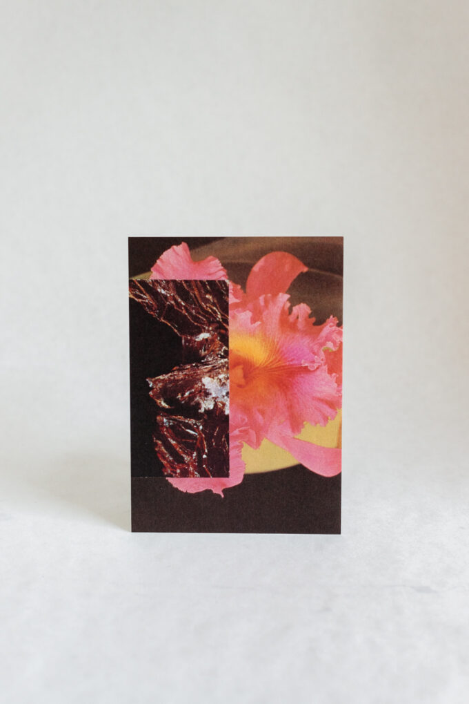 Wilder postcard with pink and brown floral collage