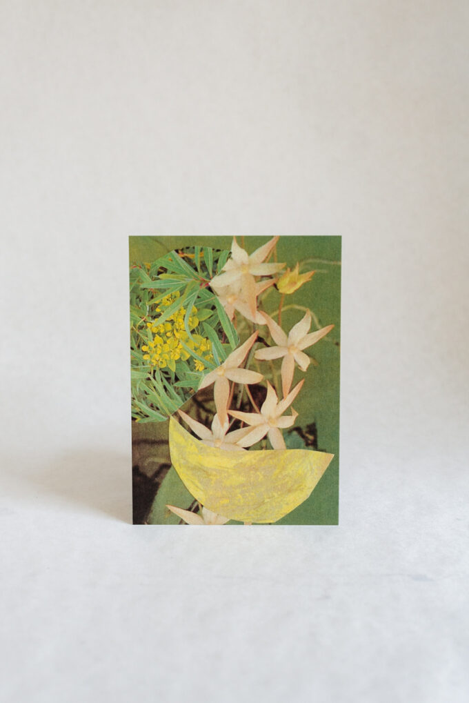 Wilder postcard with white flowers