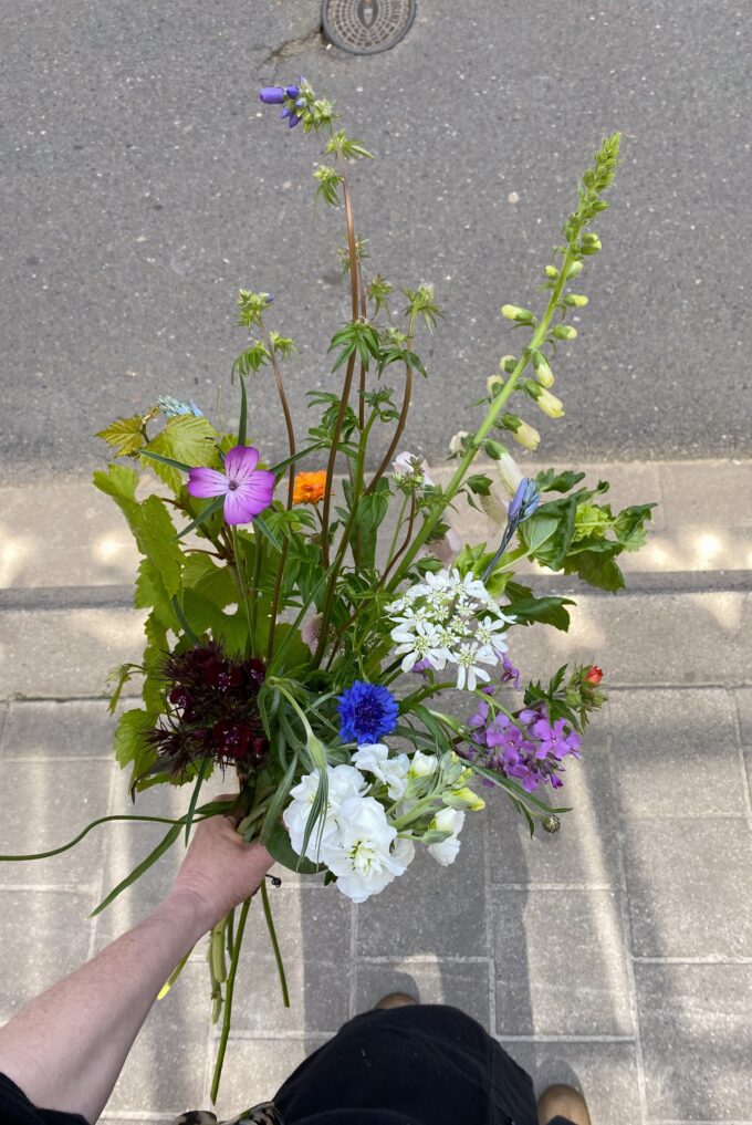 Wilder Antwerp flower delivery for Spring, local & seasonal flowers delivered by bike.