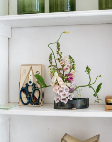 Shelves at Wilder Antwerp
